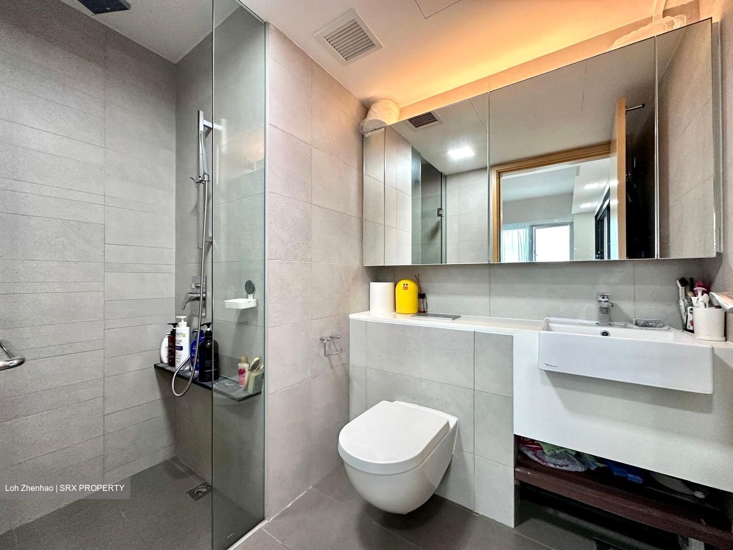Eight Riversuites (D12), Condominium #551175601